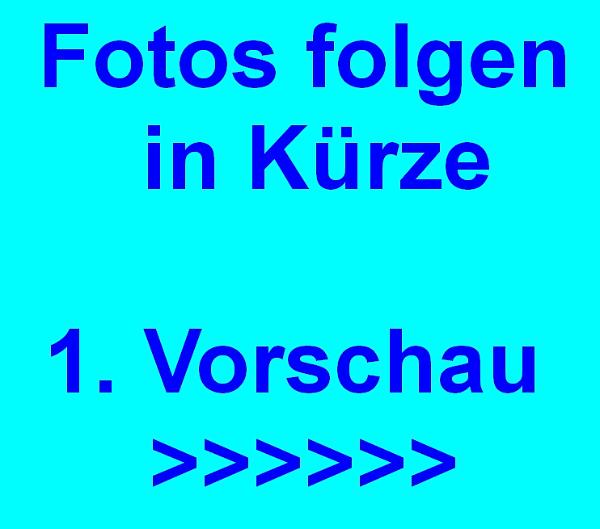 B FOTOS FOLGEN.jpg